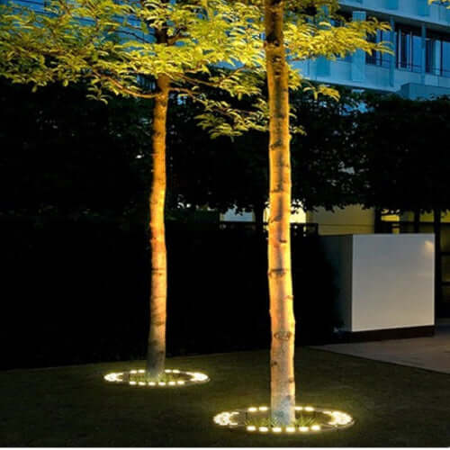 Outdoor Tree Spotlight