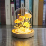 Glass sea urchin