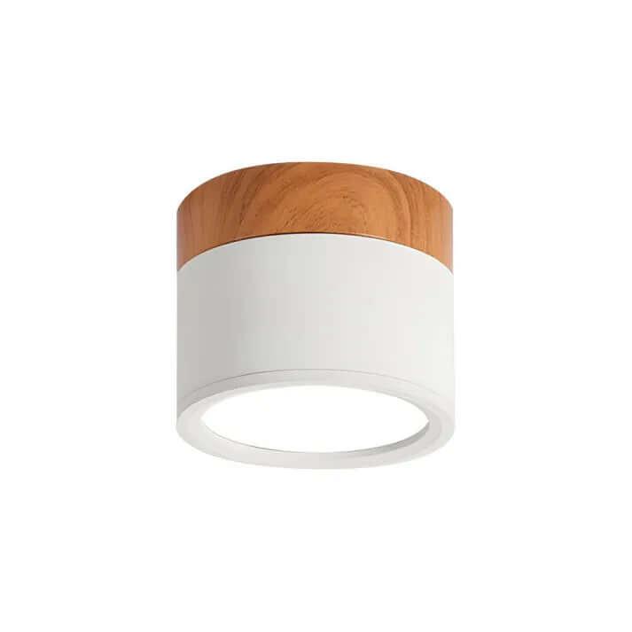 Modern Cylinder LED Ceiling Light
