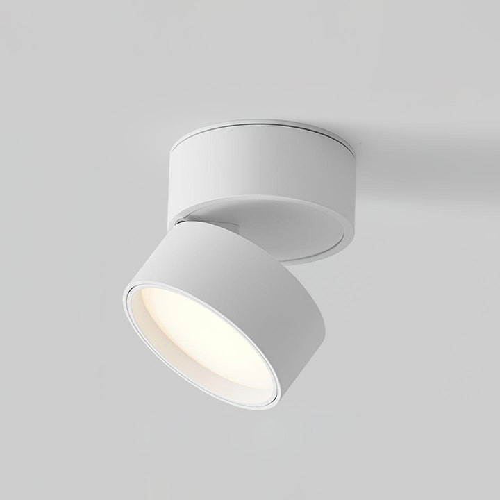 Adjustable Ceiling Spotlight Lamp, Rotatable, Warm White