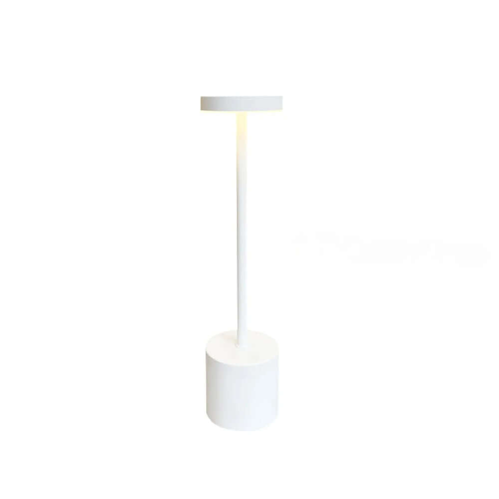 LED Mood Lamp with Rechargeable Battery