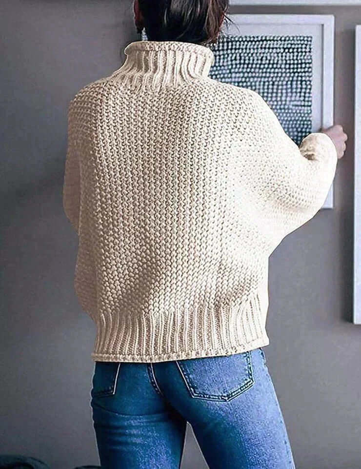 Chunky Knit Turtleneck Sweater