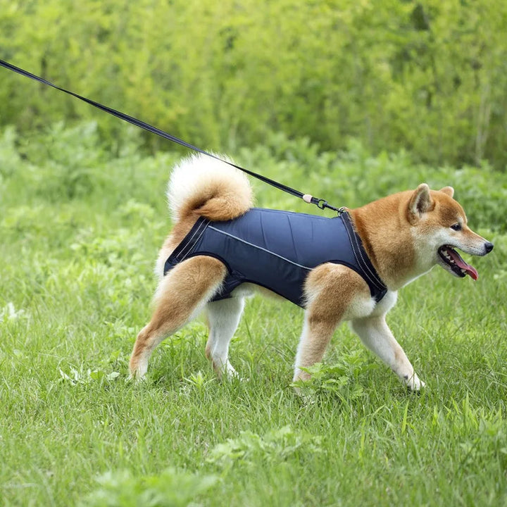 Adjustable dog lift harness for senior pets, full-body support sling, ergonomic design, padded and breathable material.
