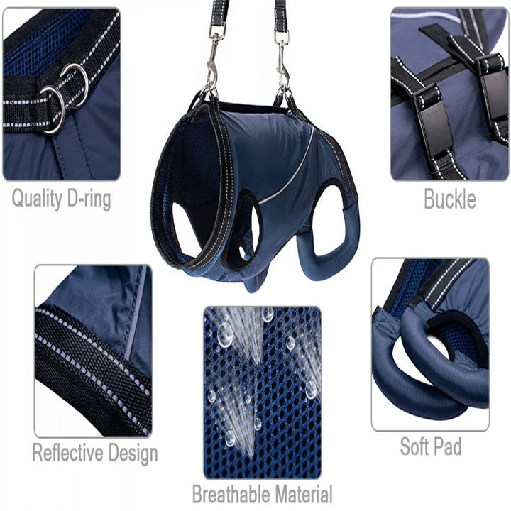 Adjustable dog lift harness for senior pets, full-body support sling, ergonomic design, padded and breathable material.