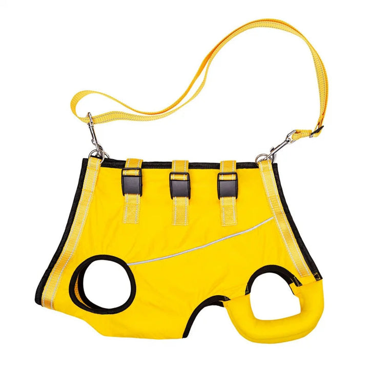 Adjustable dog lift harness for senior pets, full-body support sling, ergonomic design, padded and breathable material.