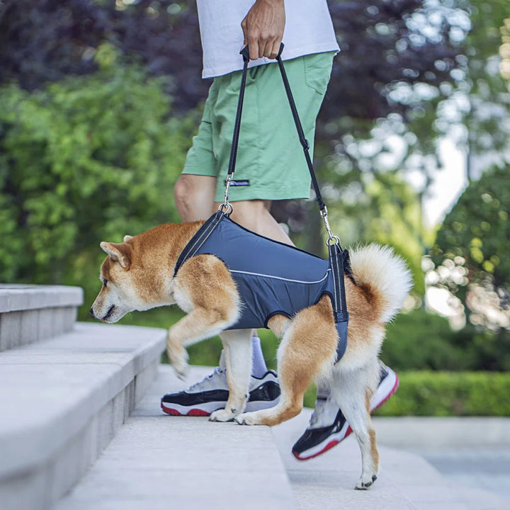 Adjustable dog lift harness for senior pets, full-body support sling, ergonomic design, padded and breathable material.