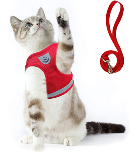 Lightweight, comfortable cat harness and leash set for daily outdoor walks.