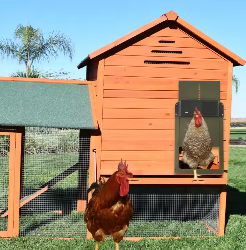 "Automatic chicken coop door system, solar/battery powered, brown variant, durable design, predator-proof, easy installation.