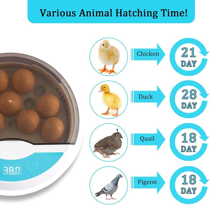 "Automatic LED egg incubator with temperature control, featuring digital display and eco-friendly ABS materials."