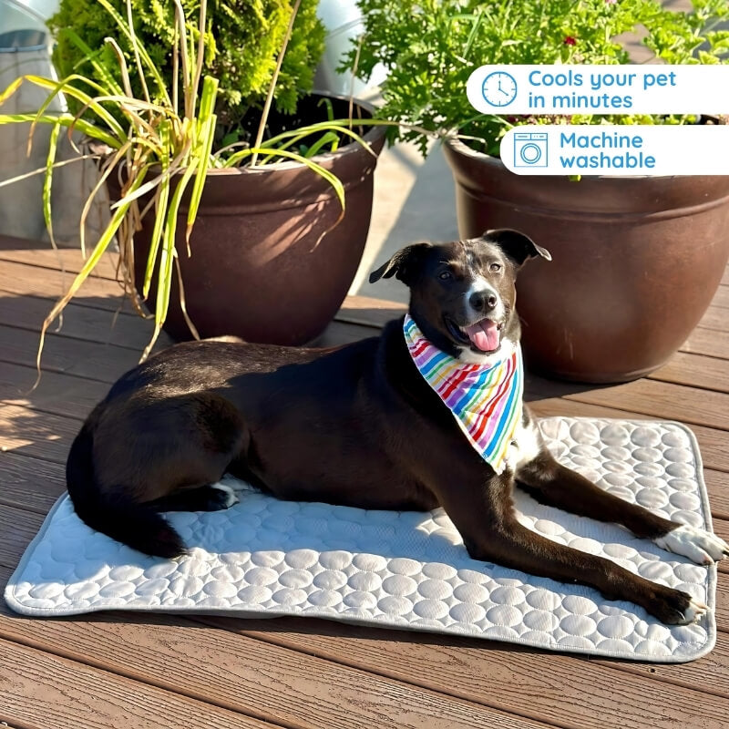 "Blue dog cooling mat, foldable and portable, offers instant cooling, waterproof, and safe for indoor and outdoor use."