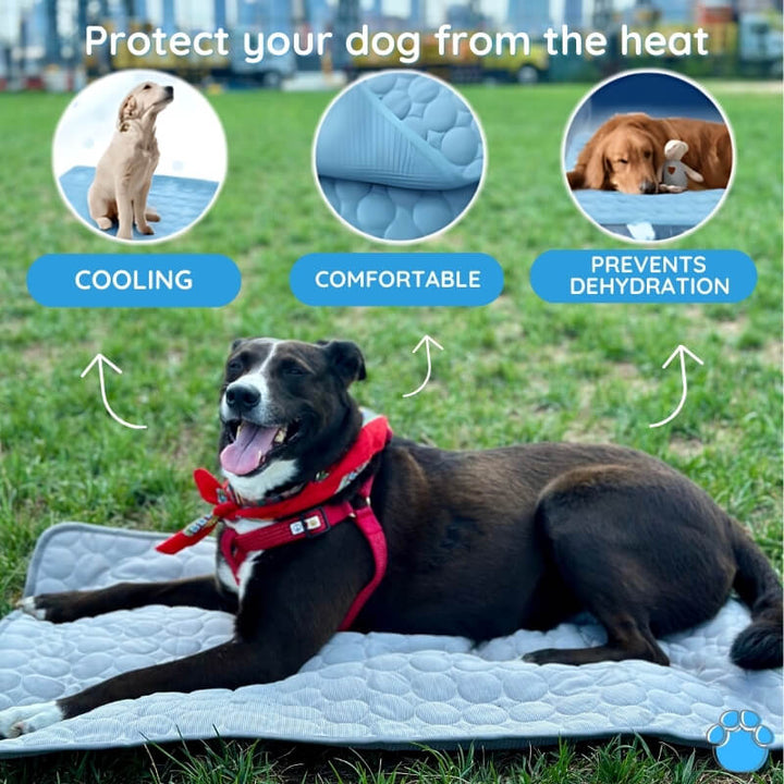 "Blue dog cooling mat, foldable and portable, offers instant cooling, waterproof, and safe for indoor and outdoor use."