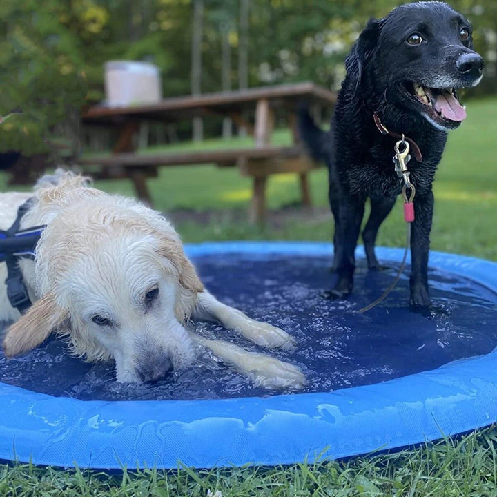 "Blue durable dog fountain pool toy for outdoor summer fun with water jets, providing cooling playtime and relief for pets."