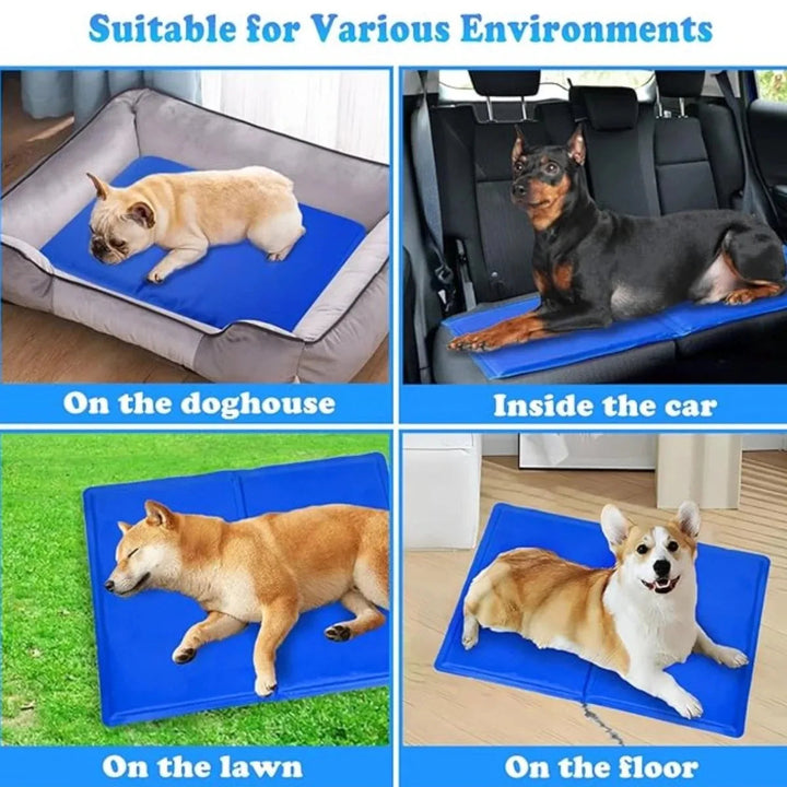 "Blue foldable cooling dog mat with moisture-resistant surface, suitable for home and travel, providing comfort and joint sup