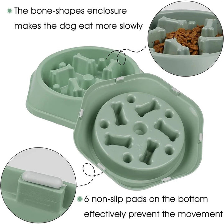 "Colorful slow eating feeding bowl for dogs with bone-shaped obstacles, promoting healthy digestion and reducing choking risk