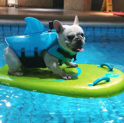 "Dog life jacket with shark fin, vibrant colors, adjustable straps, ensures pet safety and buoyancy in water adventures."