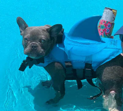 "Dog life jacket with shark fin, vibrant colors, adjustable straps, ensures pet safety and buoyancy in water adventures."