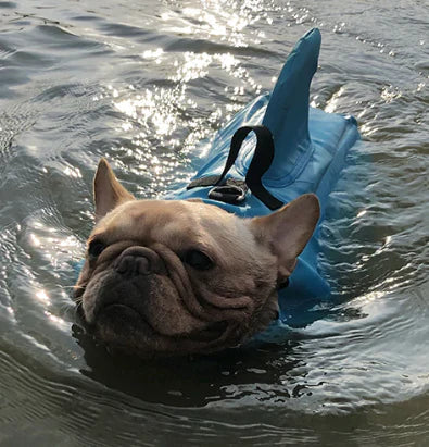 "Dog life jacket with shark fin, vibrant colors, adjustable straps, ensures pet safety and buoyancy in water adventures."