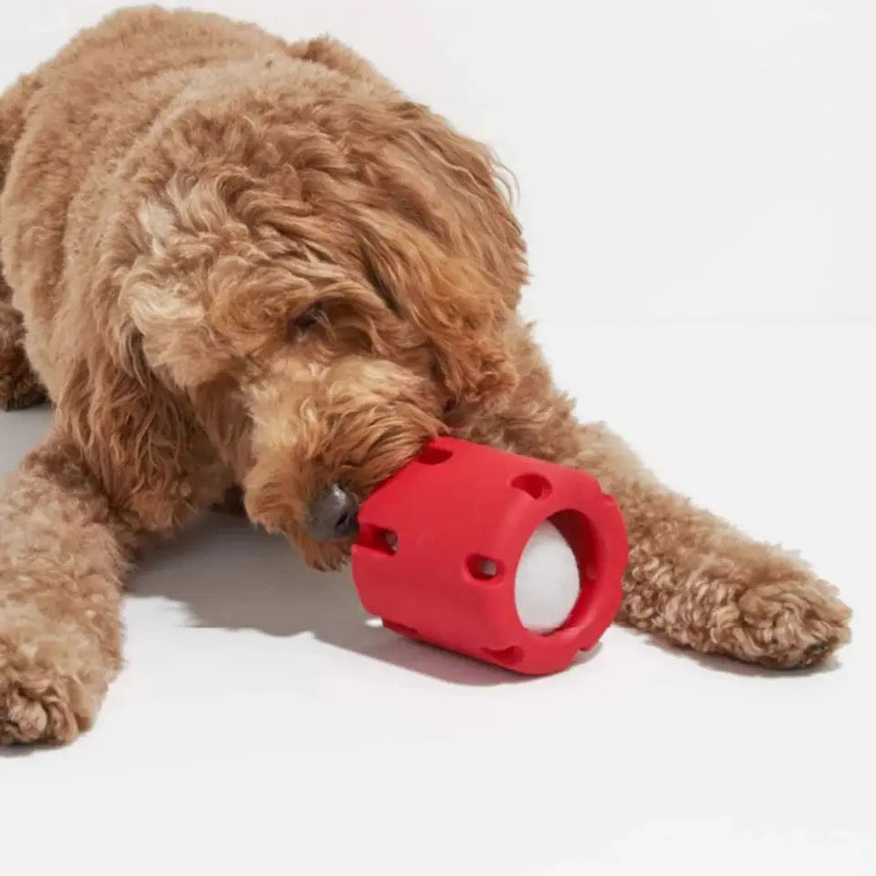 "Durable rubber dog chew toy with hidden tennis ball, designed for interactive play, available in vibrant colours."
