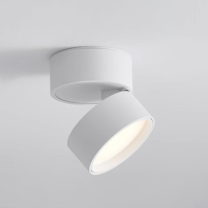 Adjustable Ceiling Spotlight Lamp, Rotatable, Warm White