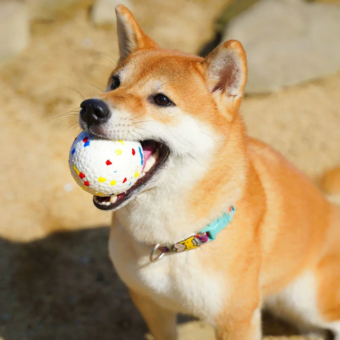 "Eco-friendly durable dog ball toy for tough chewers. Non-toxic, virtually indestructible, enhances dental health, fun colors
