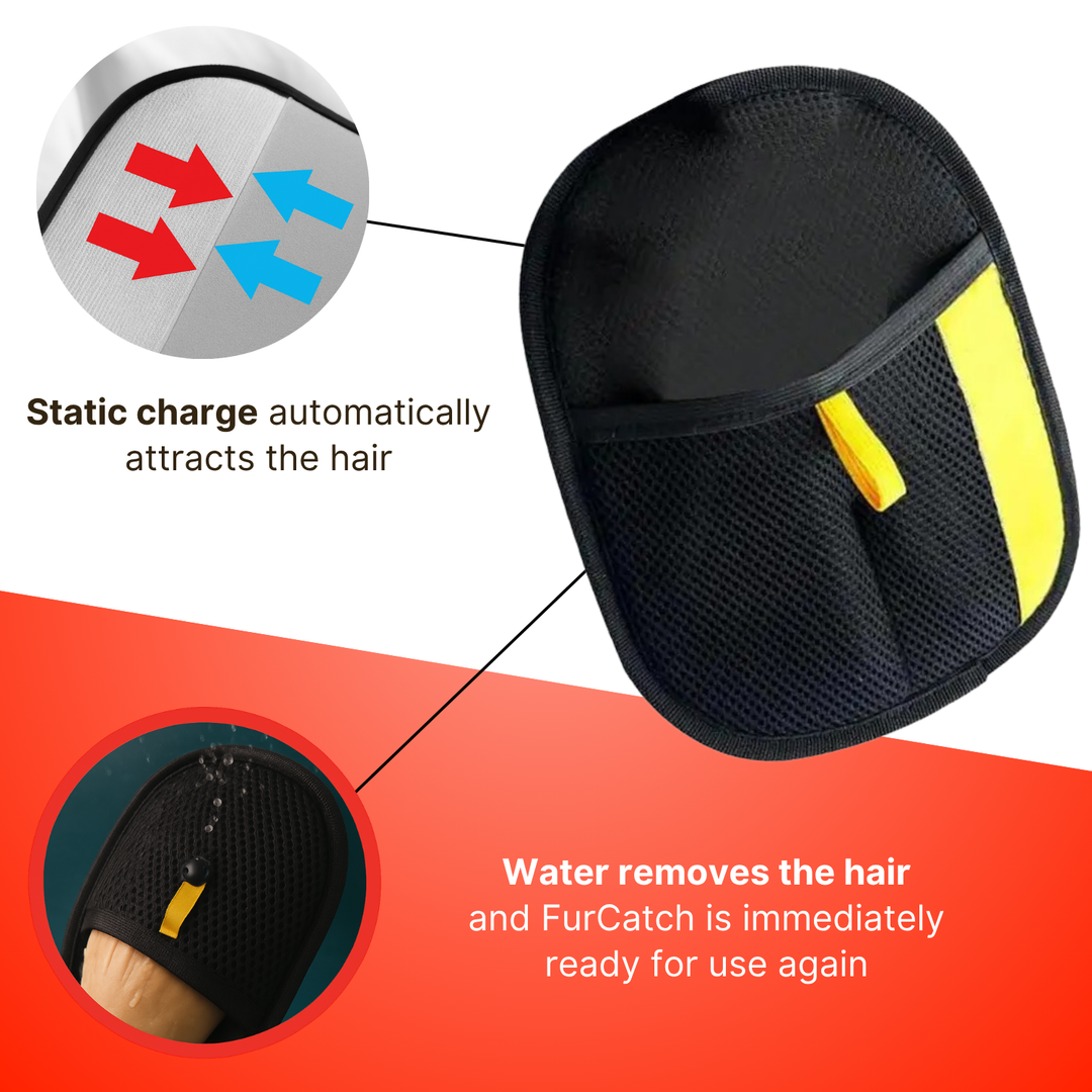 Effortless pet hair remover glove; blue mesh fabric with stretchy cuff, ideal for removing hair from clothes, sofas, and carp