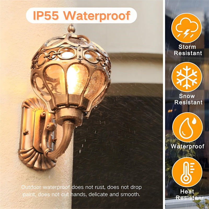 "Elegant bronze/black outdoor wall light with matte finish, transparent globe shade, perfect for garden or porch lighting."