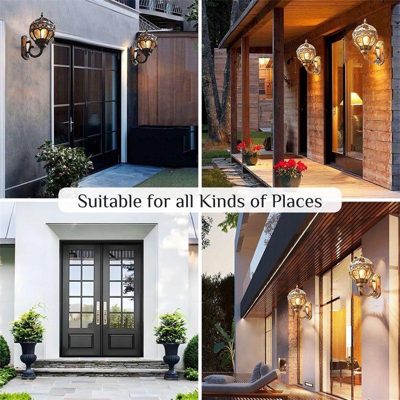 "Elegant bronze/black outdoor wall light with matte finish, transparent globe shade, perfect for garden or porch lighting."