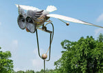 Barn Owl