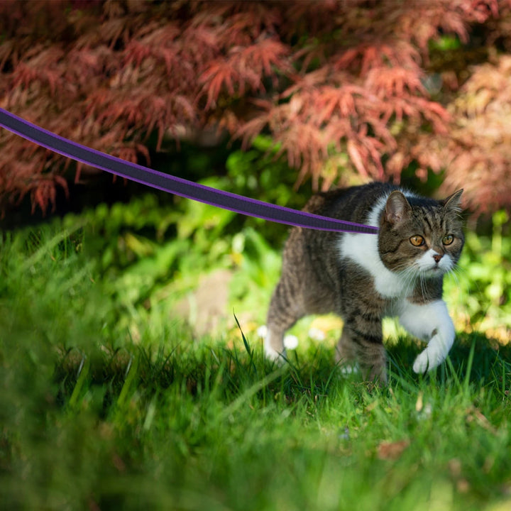 "Extra long waterproof dog lead with comfy handle, in orange, durable nylon for all weather, secure soft-touch grip."