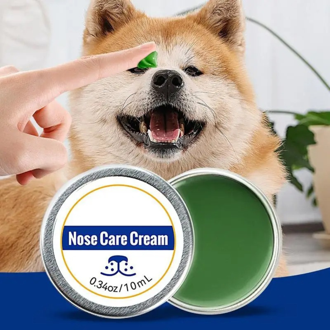 "Gentle protection balm for dry dog noses, moisturizing cracked snouts, weather-resistant, quick absorption for comfort."