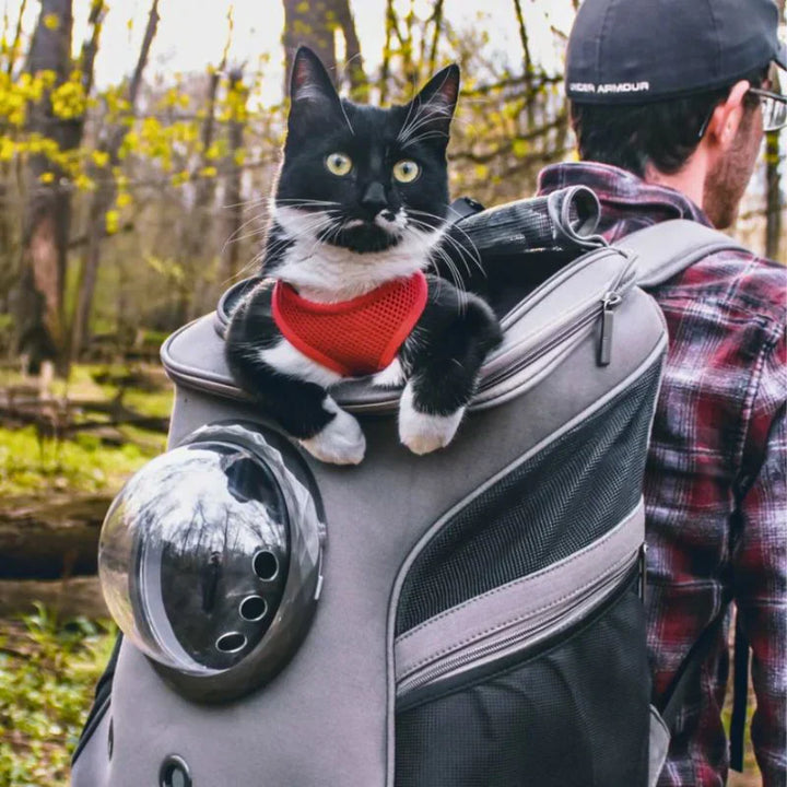 "Gray cat travel bag with panoramic window, foldable design, durable material, and comfortable padding for easy transport."