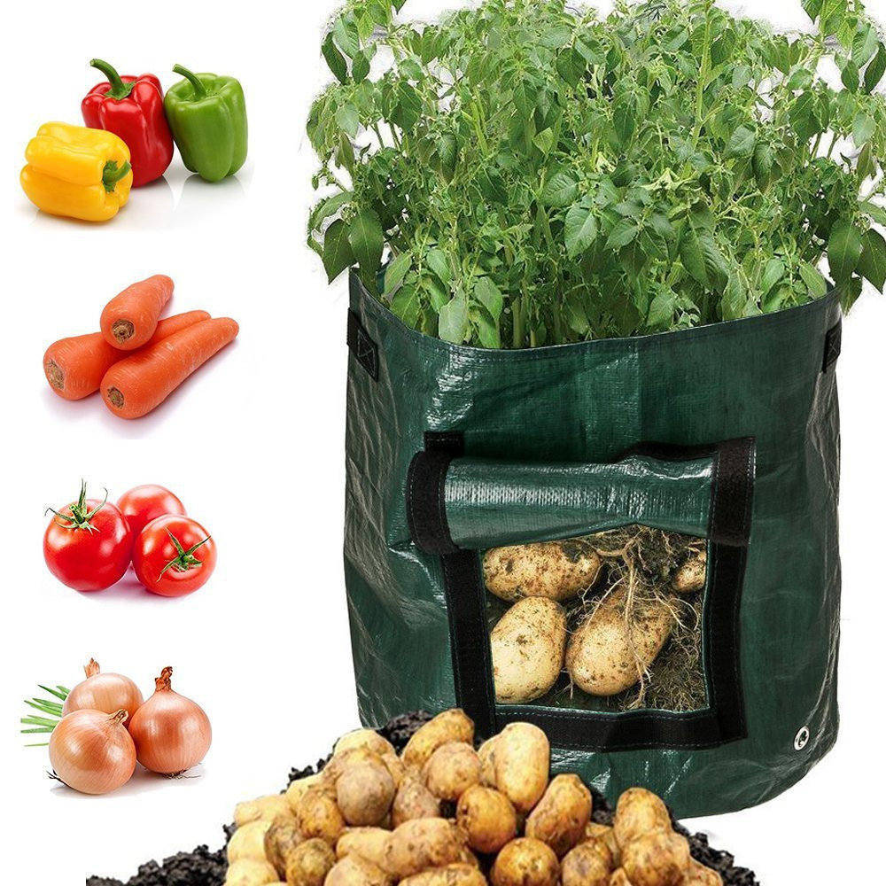 Green reusable grow bag with window for easy potato harvesting, durable fabric, ideal for patios and small gardens, optimal d