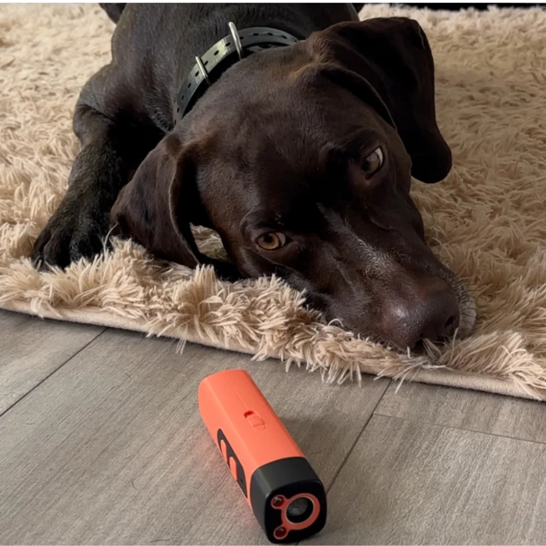 "Handheld ultrasonic anti-bark device, portable and safe for dogs, featuring one-button activation and USB-C rechargeability.