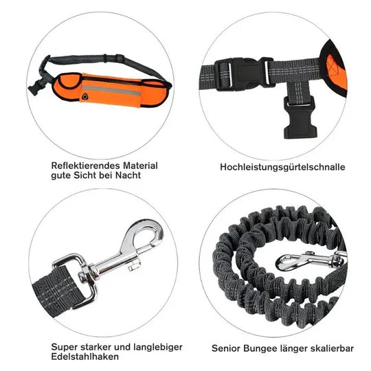 "Hands-free dog running lead with reflective waist belt, showing adjustable strap and bungee leash for outdoor activities."