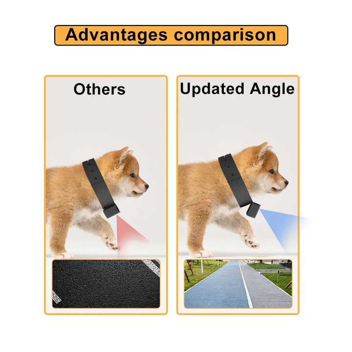 "HD Pet Collar Camera with 160° lens for dogs & cats, capturing adventures in 1080P. Lightweight, compact, easy to attach."