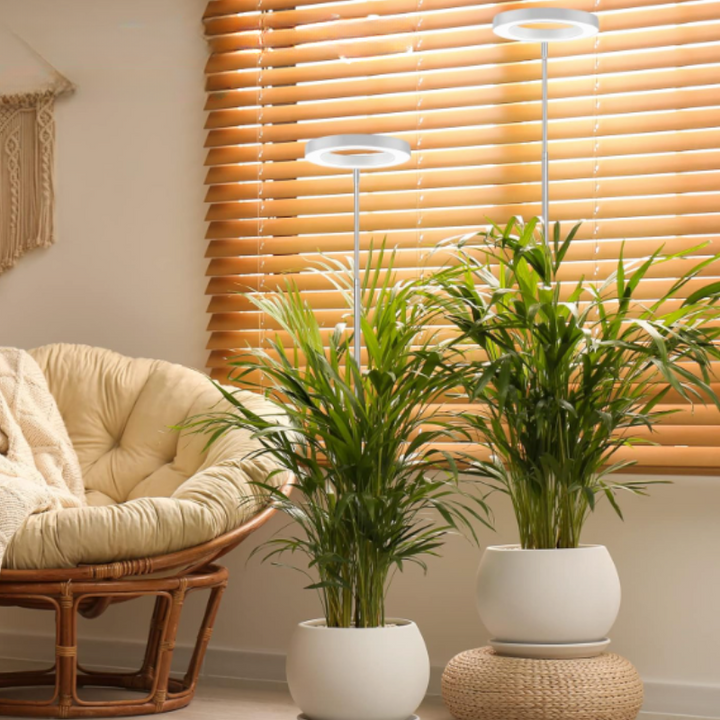 "Indoor adjustable plant light lamp with custom brightness, showcasing height and brightness control for optimal plant growth