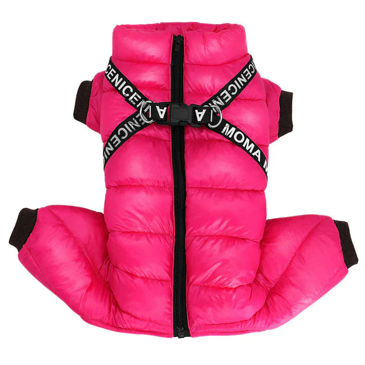 "Insulated waterproof dog winter coat in blue, showcasing cozy design with D-ring for leash, ideal for snowy adventures."