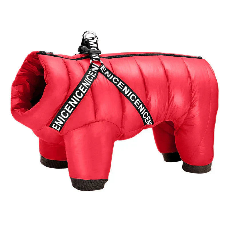 "Insulated waterproof dog winter coat in blue, showcasing cozy design with D-ring for leash, ideal for snowy adventures."