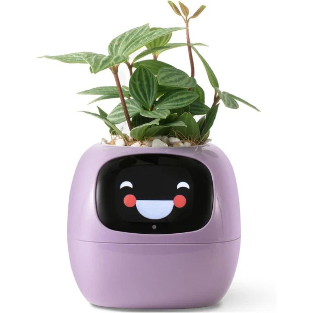 "Interactive AI Plant Pot with sleek design, smart care features, and over 70 visual expressions, perfect for tech-savvy plan