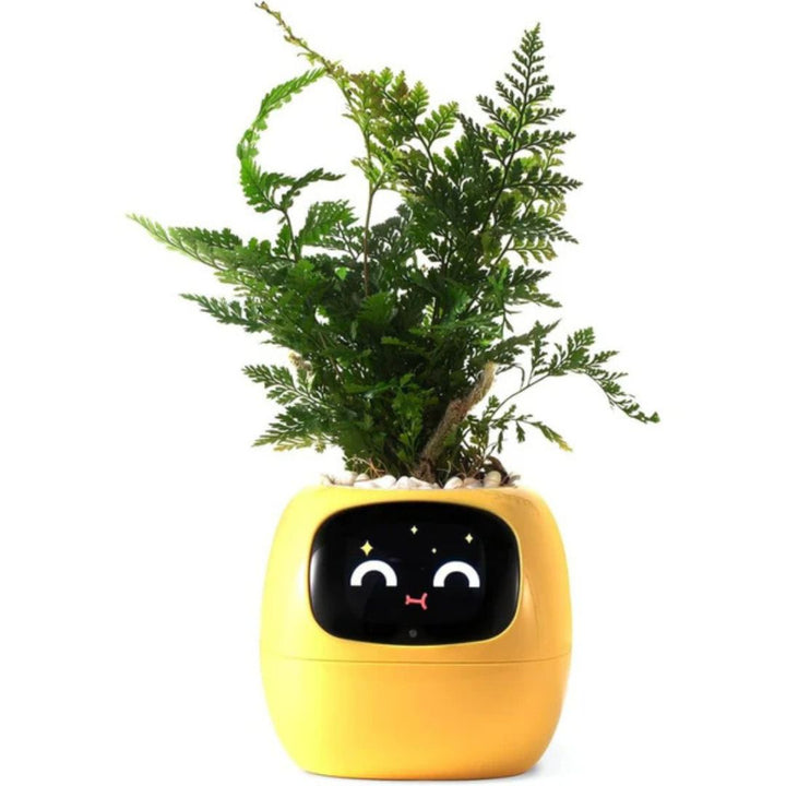 "Interactive AI Plant Pot with sleek design, smart care features, and over 70 visual expressions, perfect for tech-savvy plan