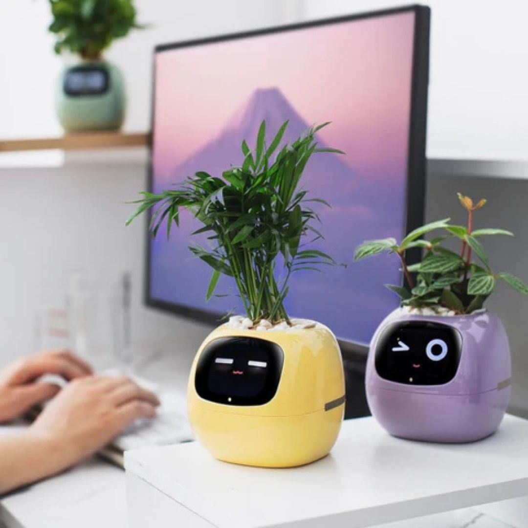 "Interactive AI Plant Pot with sleek design, smart care features, and over 70 visual expressions, perfect for tech-savvy plan