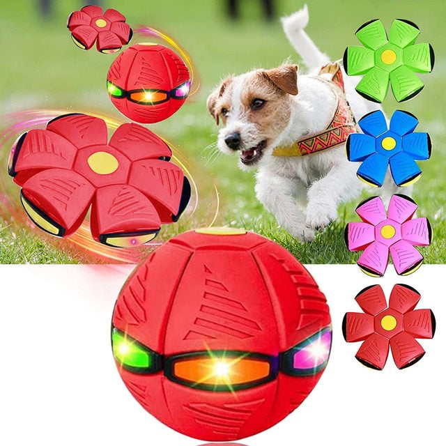 "Interactive dog frisbee ball toy in vibrant colors of blue, green, pink, and red, perfect for fun and engaging playtime."