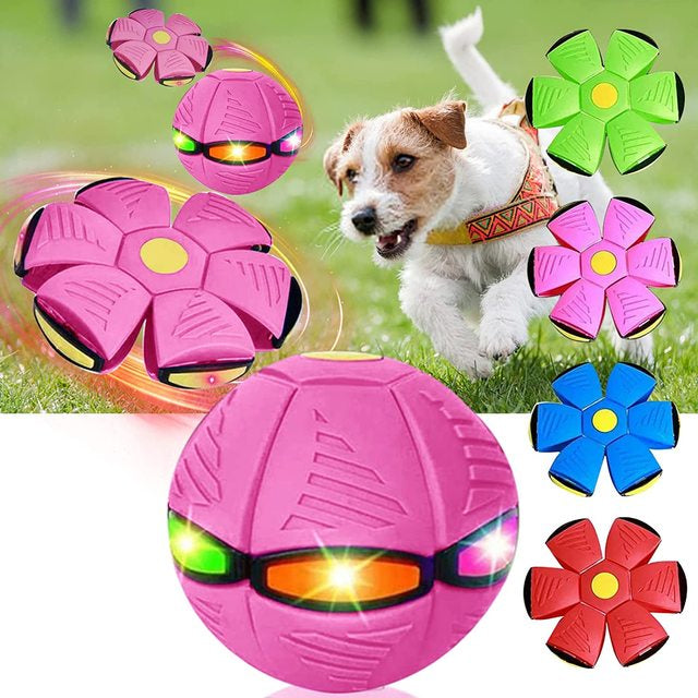 "Interactive dog frisbee ball toy in vibrant colors of blue, green, pink, and red, perfect for fun and engaging playtime."