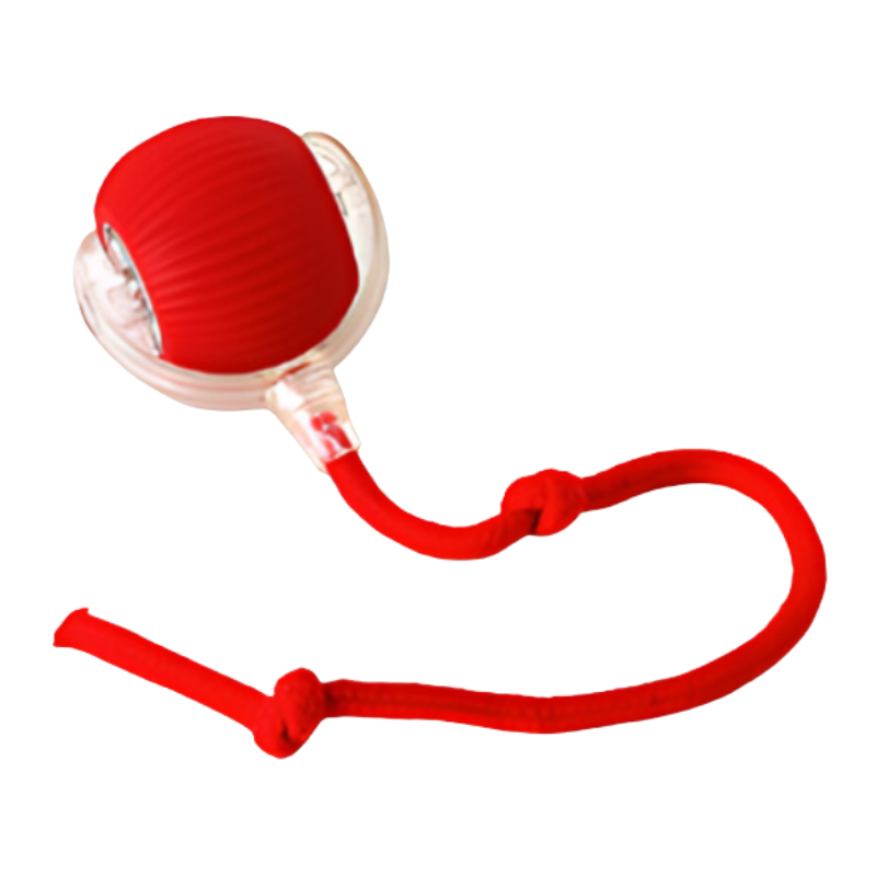 Interactive dog toy with USB-C charging, mimics critter movements, durable ABS. Available in red, grey, and green colors.