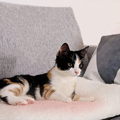 "Luxurious plush self-heating cat pad, no electricity, warm cozy bed, elegant design, pet supplies, 60x45cm size"