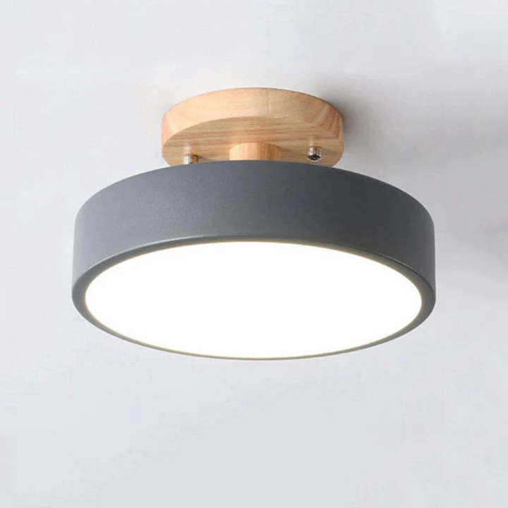 Modern round Nova LED light for ceilings; ideal for contemporary home decor.