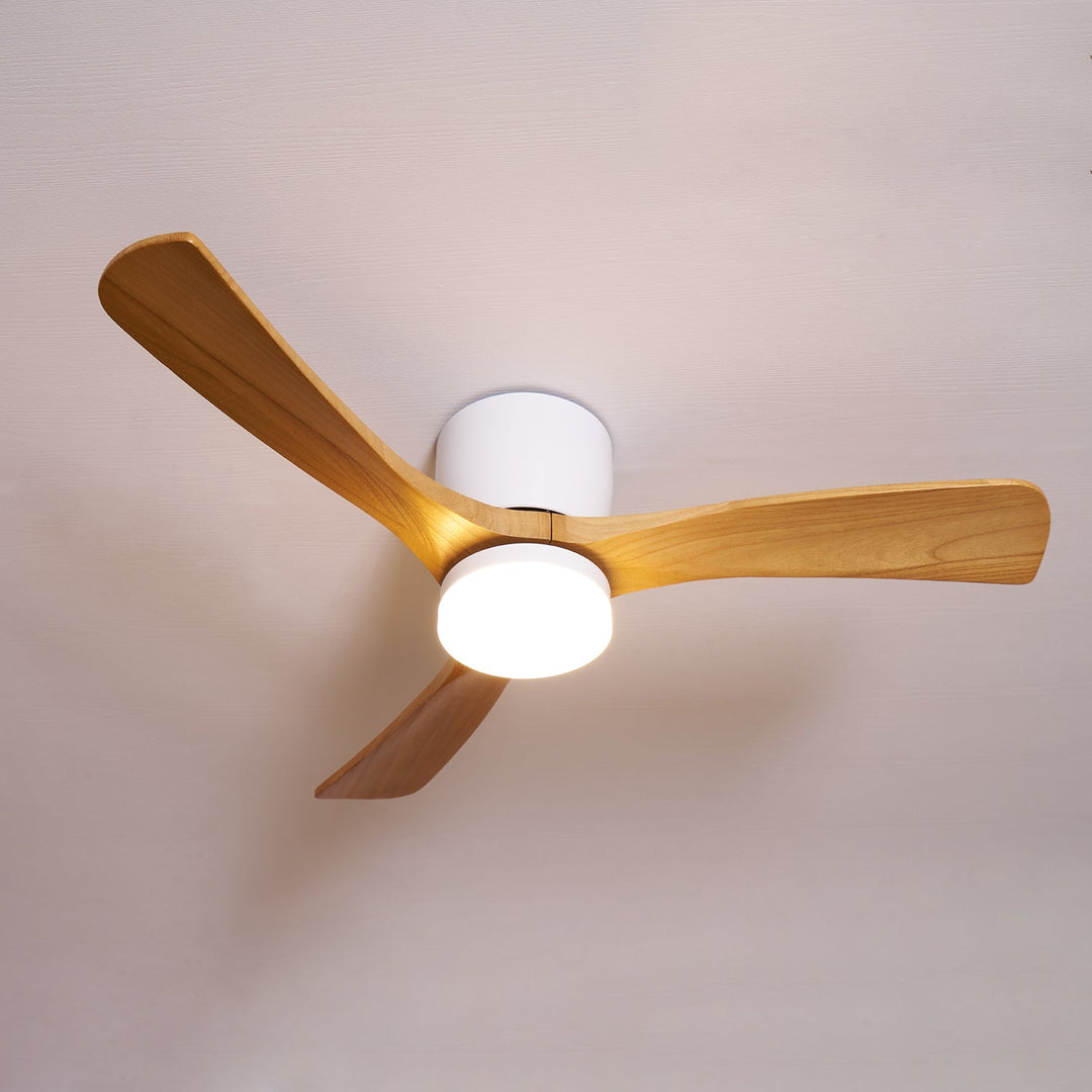 "Nordic Wooden Ceiling Fan Light with sycamore blades and LED, remote-operated for modern home decor."