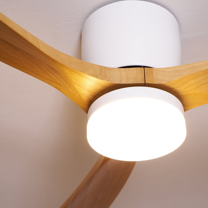 "Nordic Wooden Ceiling Fan Light with sycamore blades and LED, remote-operated for modern home decor."