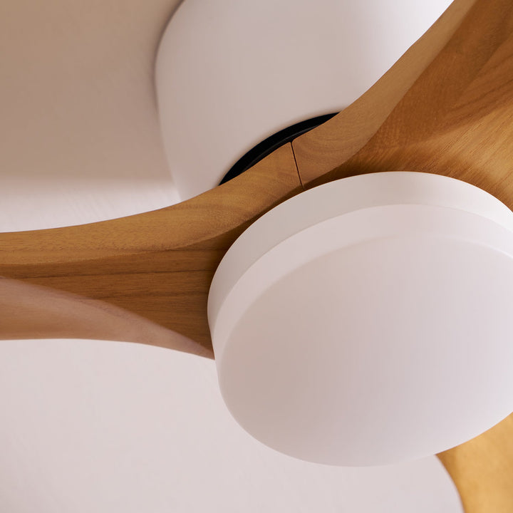 "Nordic Wooden Ceiling Fan Light with sycamore blades and LED, remote-operated for modern home decor."