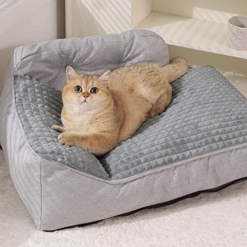 "Orthopedic pet bed with supportive terylene fabric, thick base, built-in pillow, ideal for joint comfort, non-slip design."